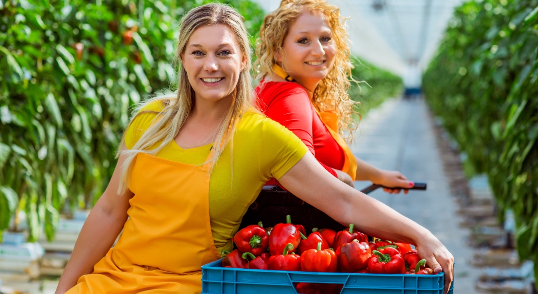 Efficiënt op het werk - AGF Industry