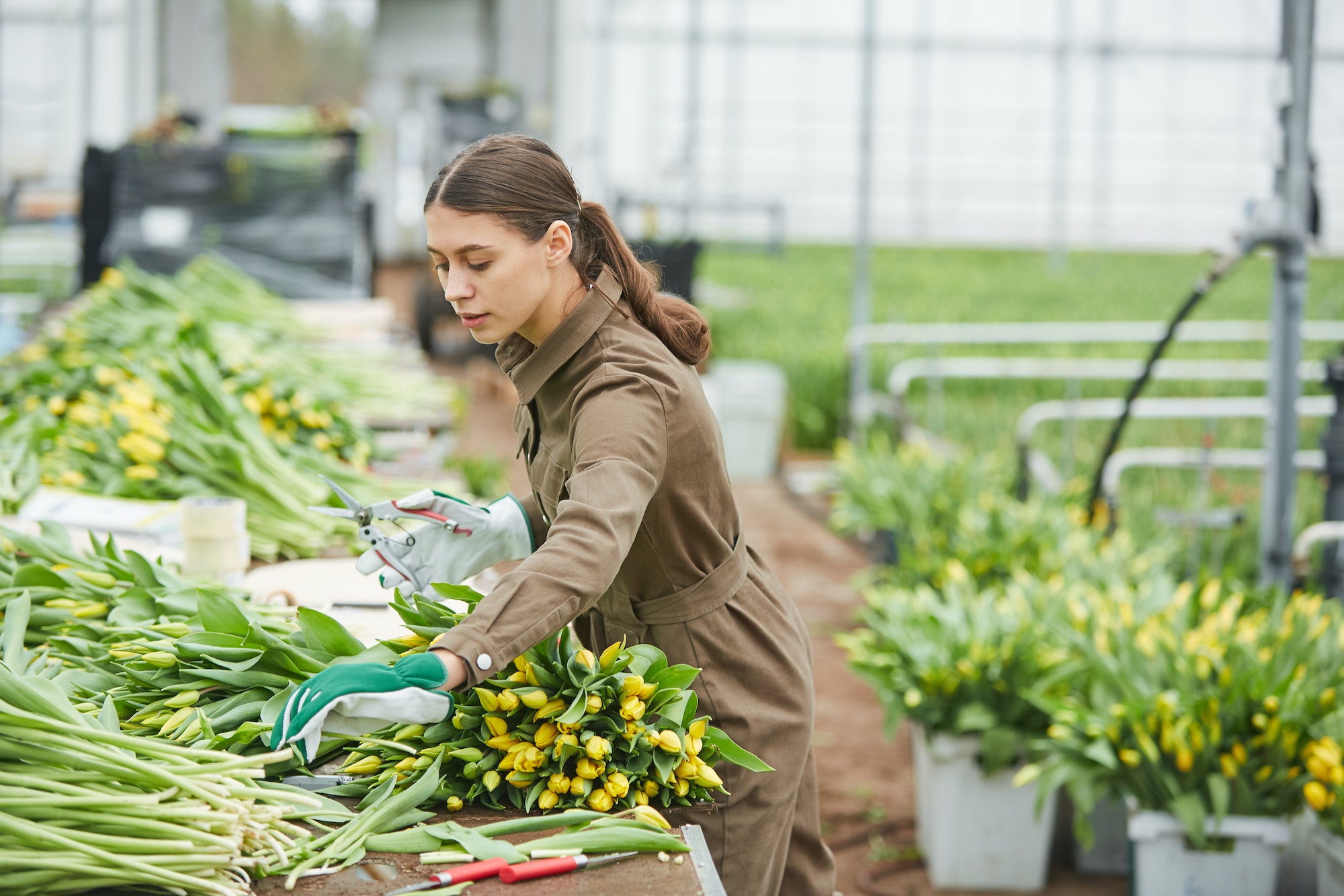 Female Worker Sorting Flowers