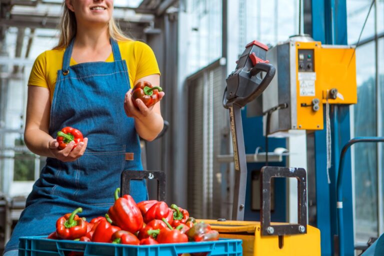 Working in the Netherlands